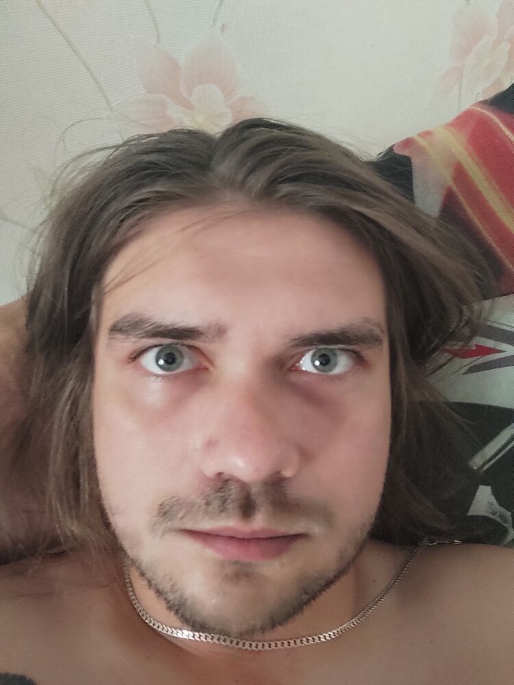  28656575  , 31 ,    