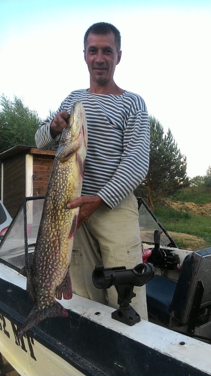 ���� 10130345 ������� ����, 54 ����, ���� ���������� � ������