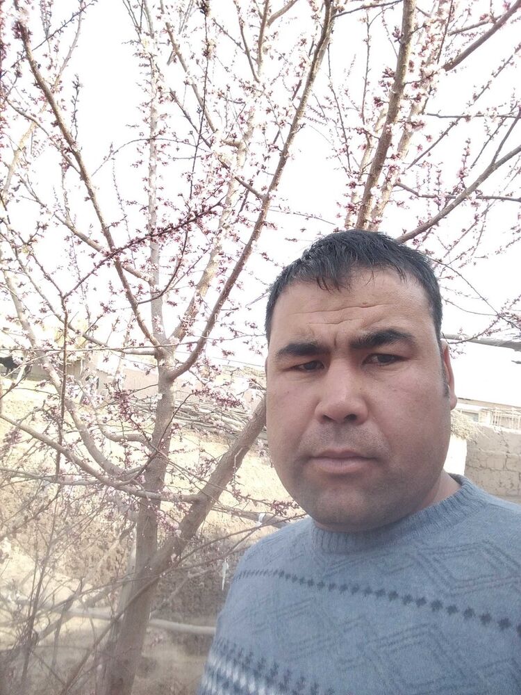 ���� 19533015 ������� ����, 36 ���, ���� ���������� � ��������