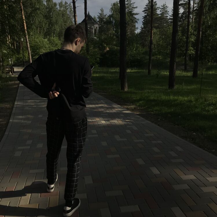  29141195  , 22 ,    