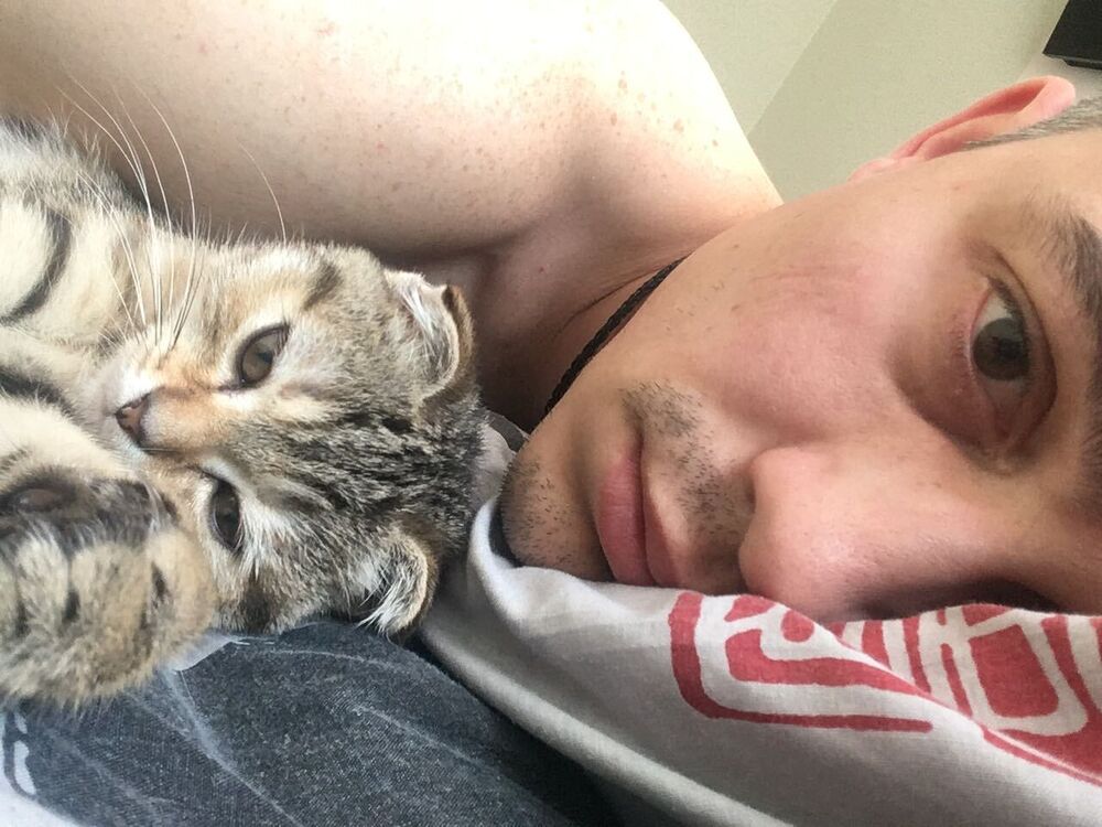 ���������� �������, ���� ������� ����, 103 ����, ������������ ��� ������, ����� � ���������