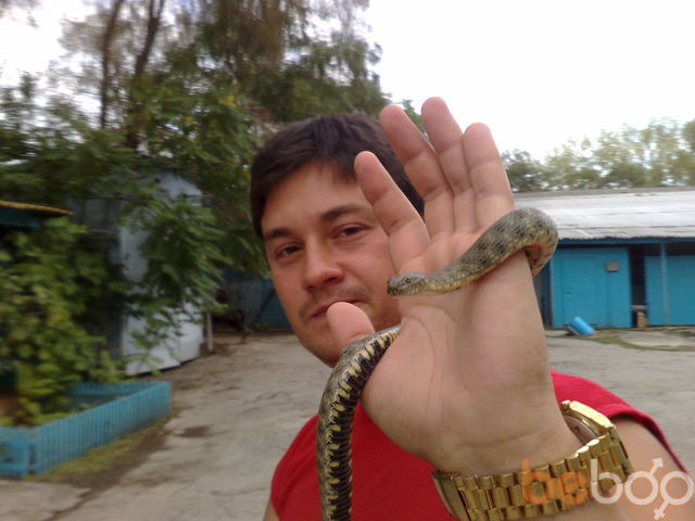  ,   Dmitriynew, 45 ,     , c 