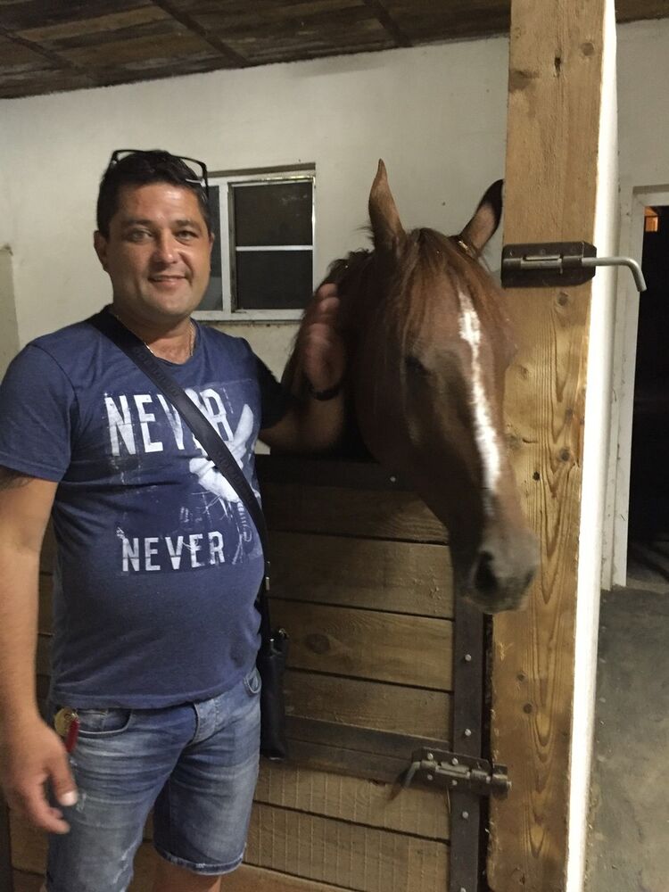 ���� 8147975 ������� Klia, 48 ���, ���� ���������� � �������-��-����