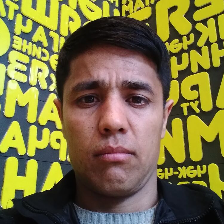 ���� 42431515 ������� ����, 36 ���, ���� ���������� � ������