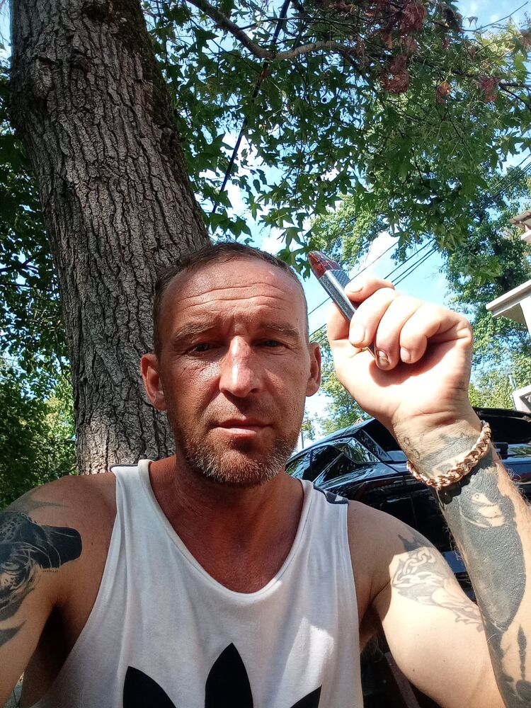  45956845  , 44 ,    