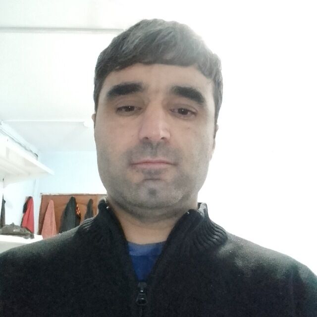  49373045  , 36 ,    