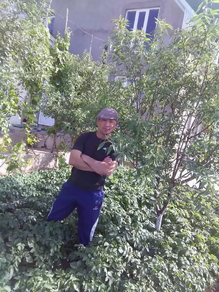  ,   , 42 ,   ,   