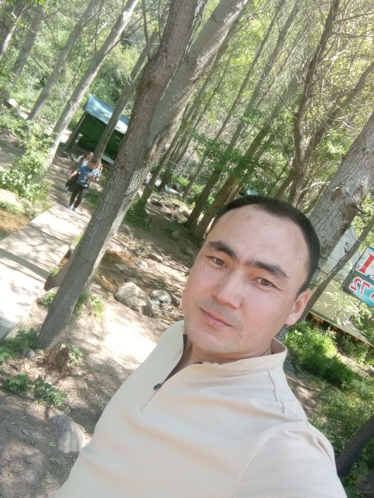  40271525  , 32 ,    