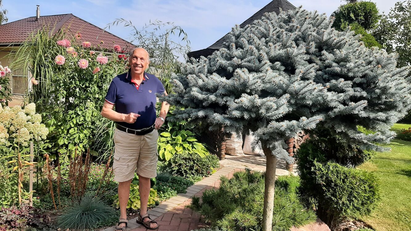 ���������� ������, ���� ������� �����, 76 ���, ������������ ��� c�������� ���������