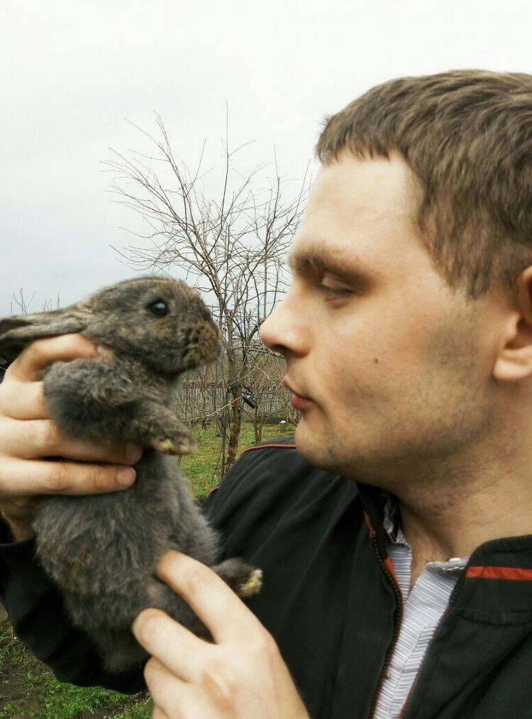 ���������� ������, ���� ������� ������, 39 ���, ������������ ��� ����� � ���������, c�������� ���������