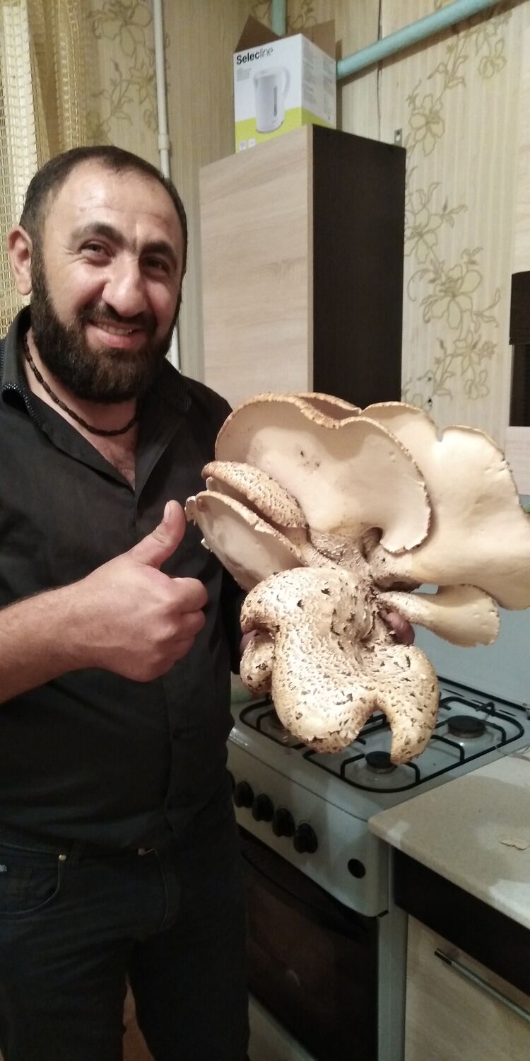 ���������� ������, ���� ������� �����, 42 ����, ������������ ��� ����� � ���������, c�������� ���������