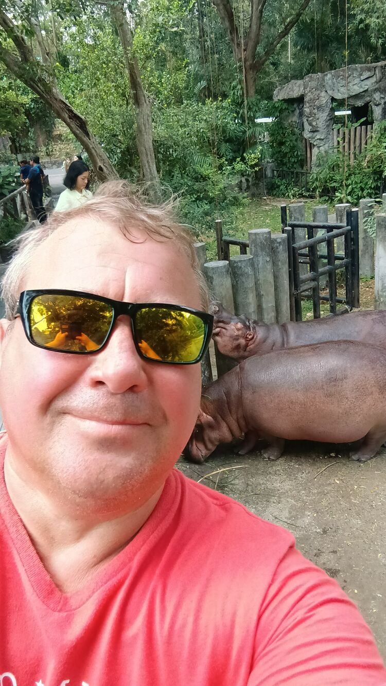 ���� 56320915 ������� ����, 56 ���, ���� ���������� � ���������