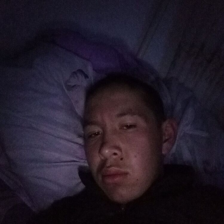 ���� 20477295 ����� �����, 24 ����, ���� ���������� � �������