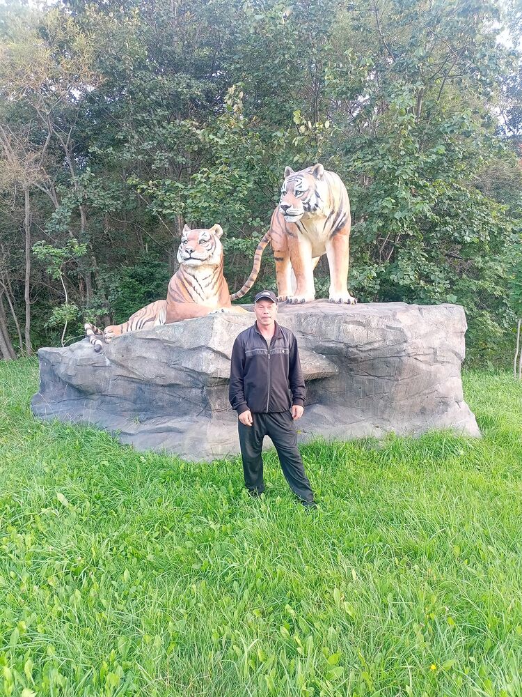  -,   , 39 ,   ,   , c 