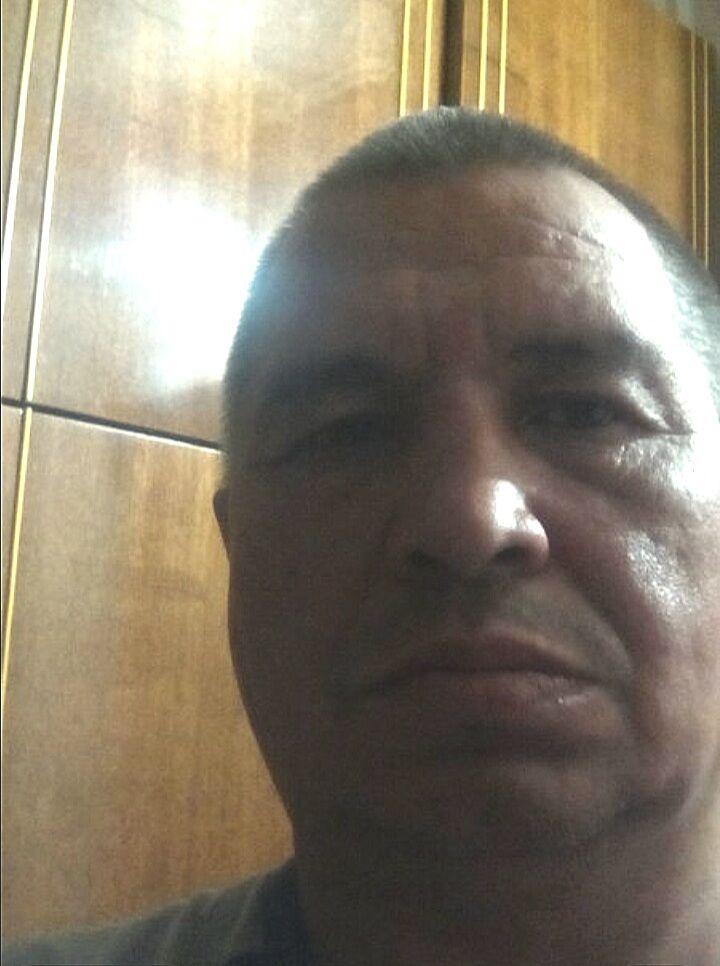  50009645  , 54 ,     