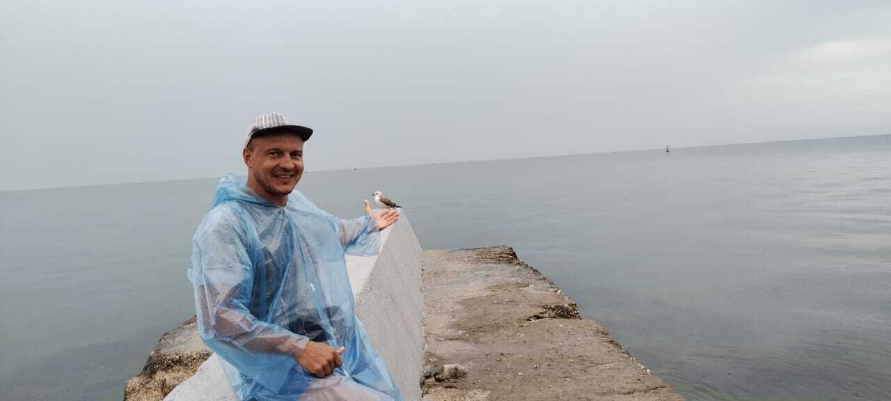  31103355  , 39 ,    --