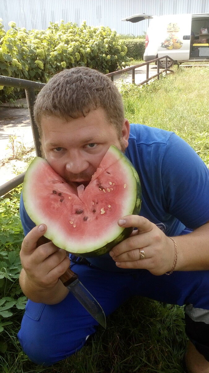 ���� 7932675 ������� �����, 33 ����, ���� ���������� � ������