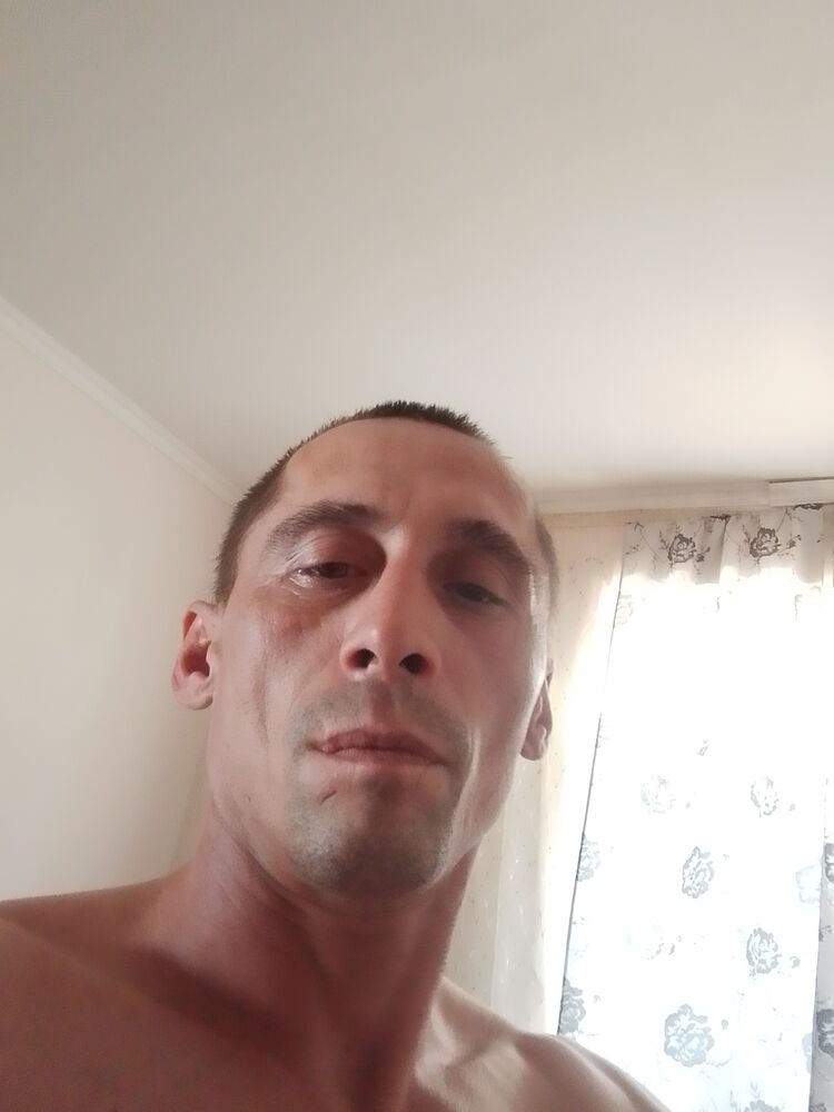  53176415  , 36 ,    