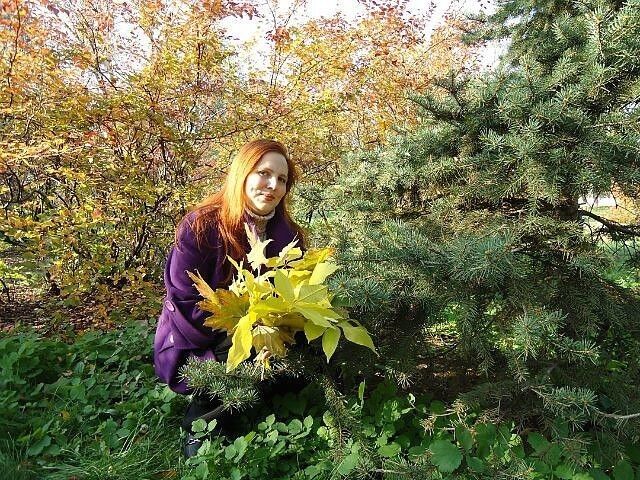 ���� 11666445 ������� ���, 43 ����, ���� ���������� � ��������