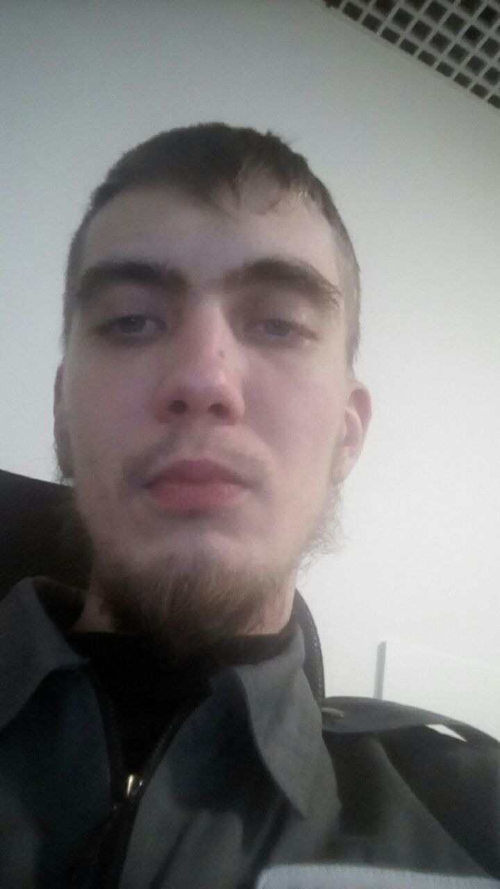  40952835  , 28 ,    -
