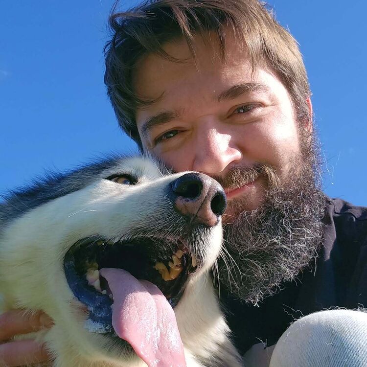 ���� 55168535 ������� �������, 33 ����, ���� ���������� � �������