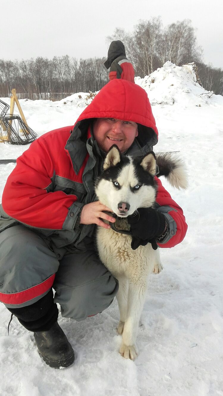 ���� 56098575 ������� �����, 38 ���, ���� ���������� � �����������