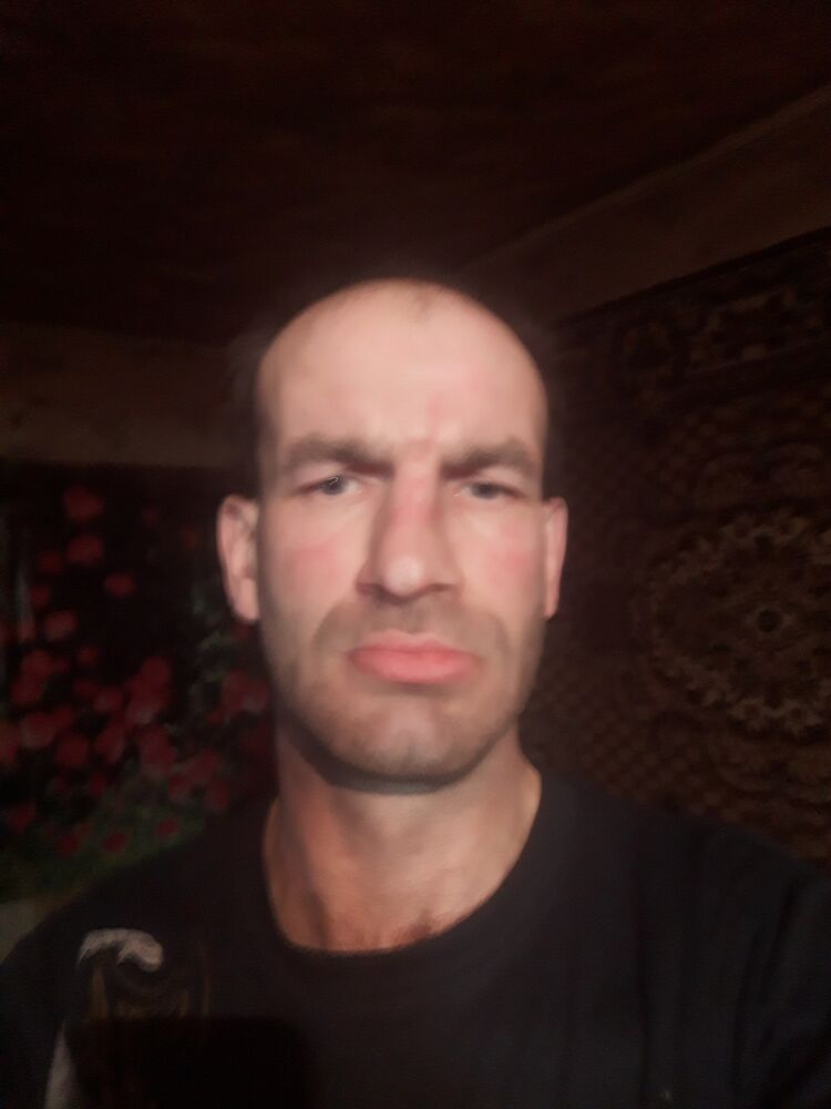  41063555  , 41 ,    