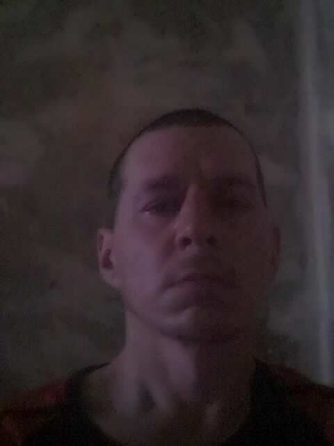  33385115  , 43 ,    