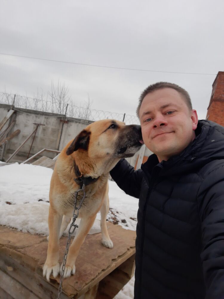 ���������� ������ ��������, ���� ������� Vitaliy, 40 ���, ������������ ��� c�������� ���������