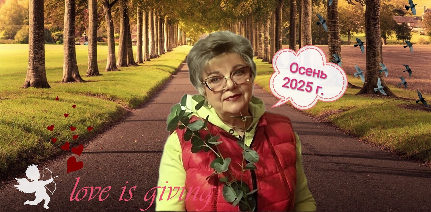  54337165  , 65 ,    -