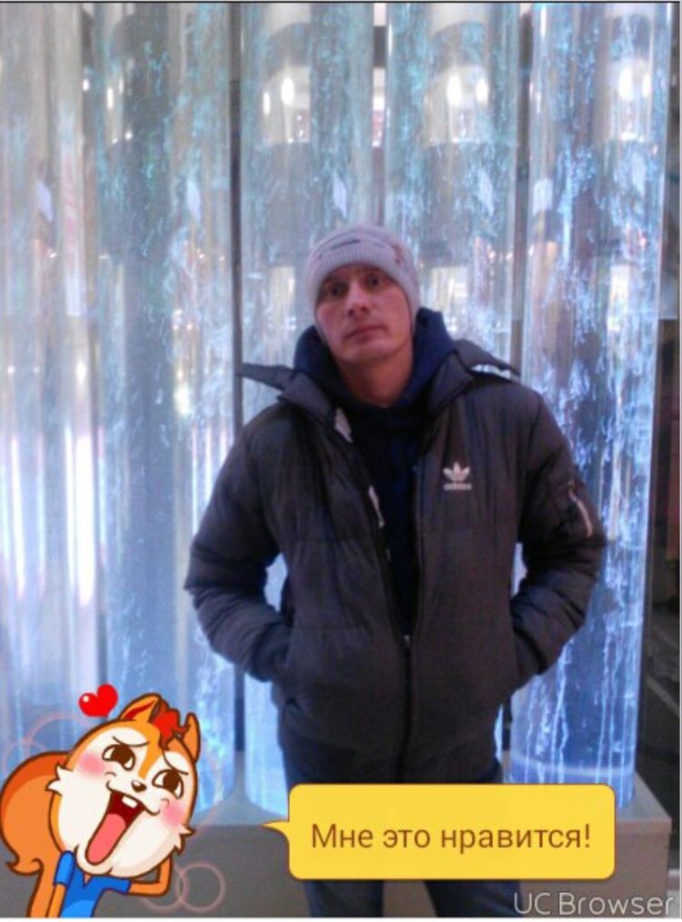  44650385  , 45 ,    -