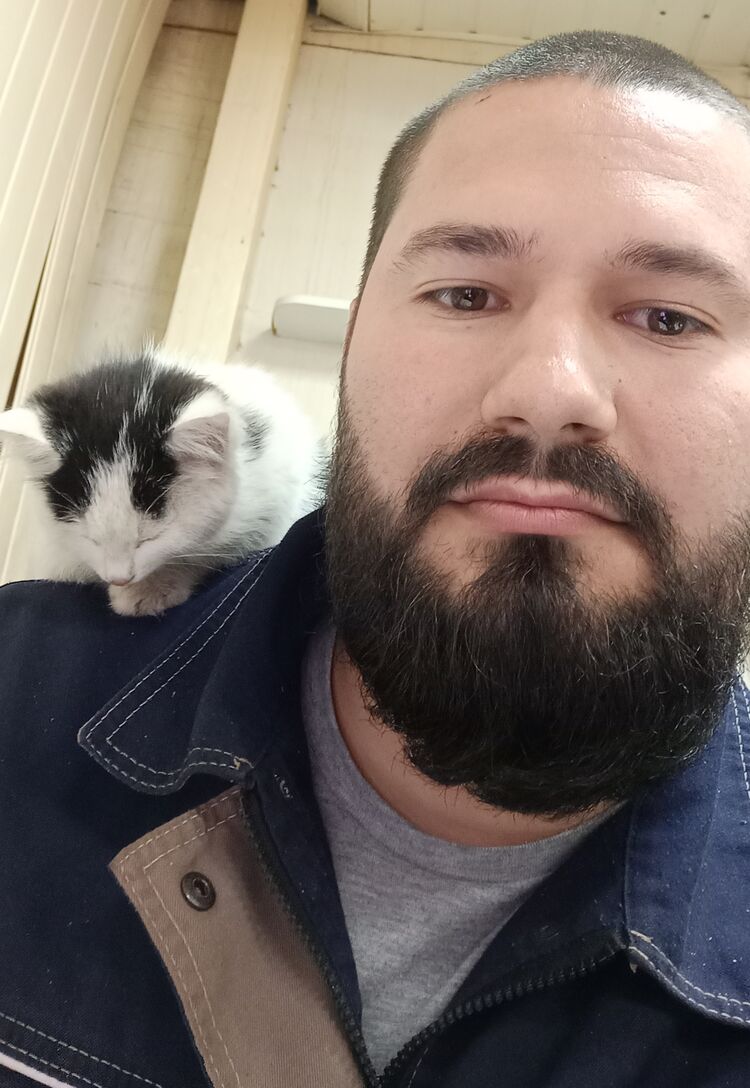 ���� 28621295 ������� �������, 28 ���, ���� ���������� � ������