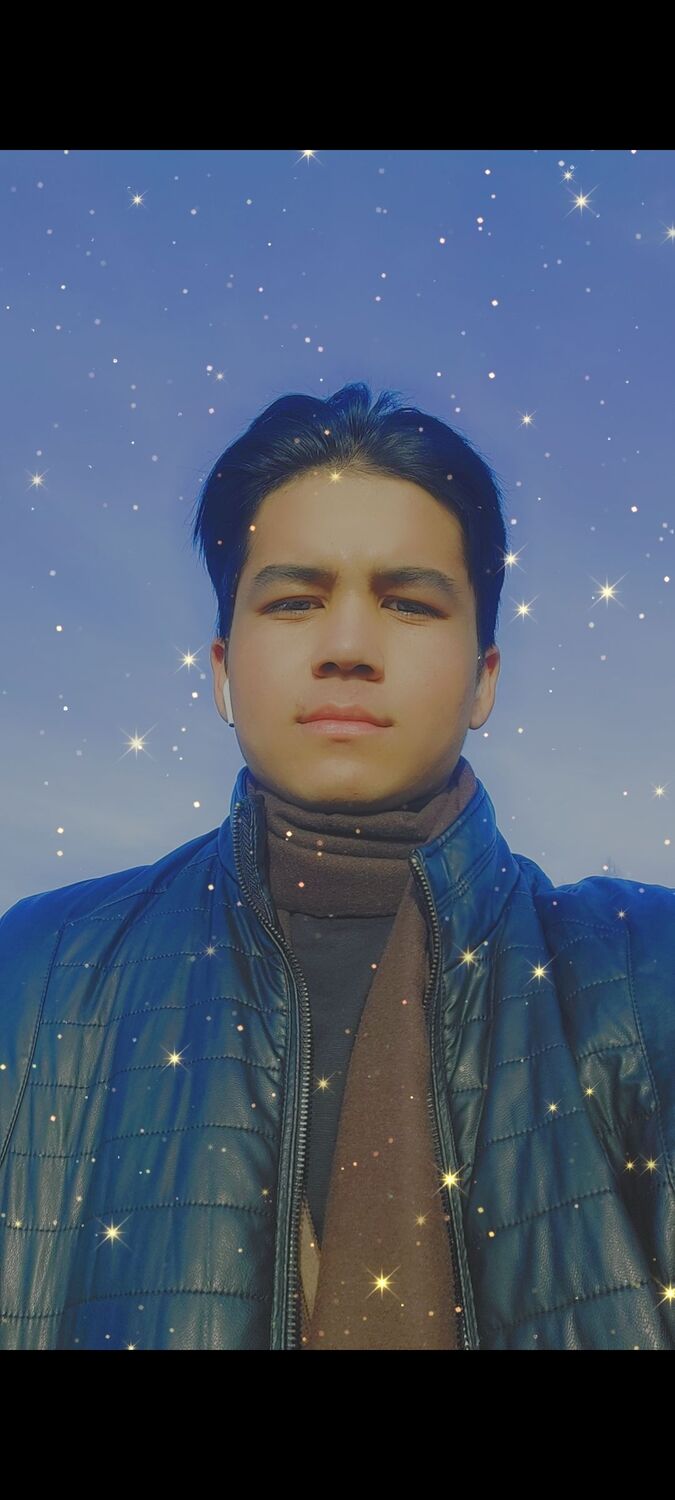  53599195  , 24 ,    -