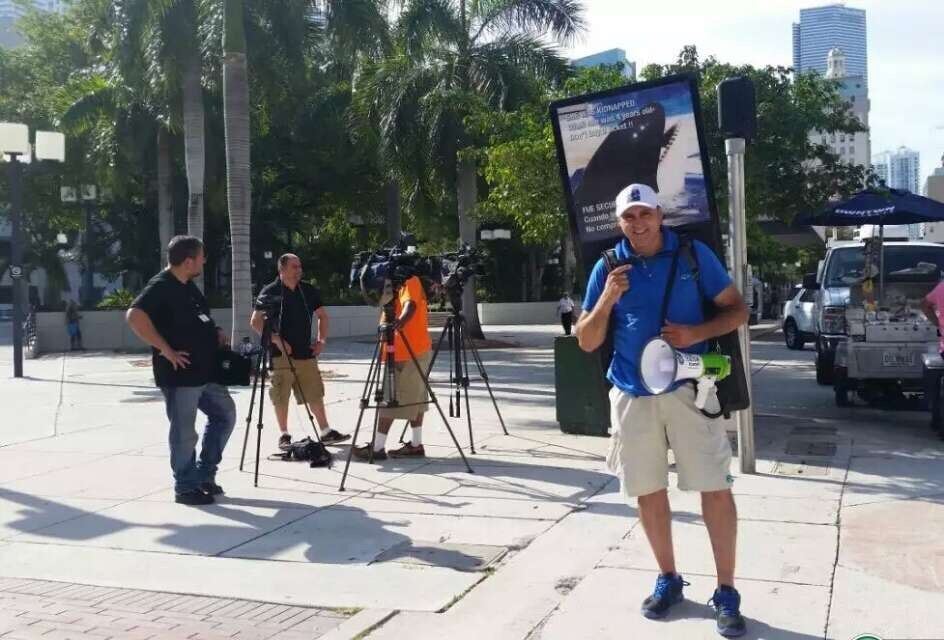 ���� 6369285 ������� Syry, 38 ���, ���� ���������� � �������