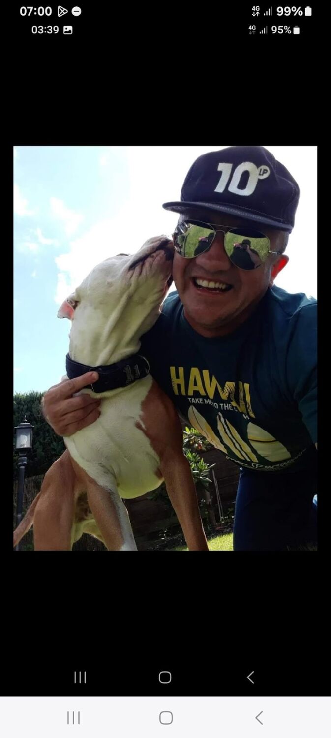  Delft,   ALEX, 45 ,     , c 