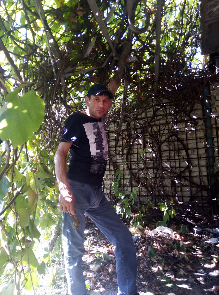 ���� 17376885 ������� �����, 45 ���, ���� ���������� � ��������