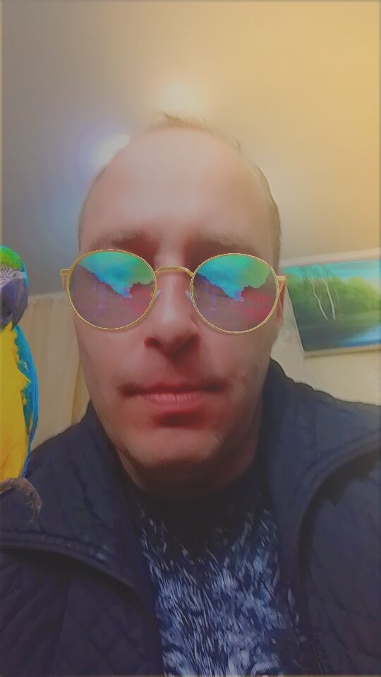  35311445  , 44 ,    