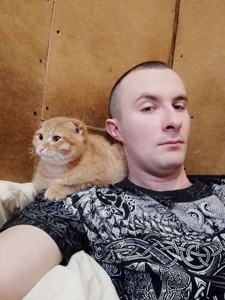 ���� 34796615 ������� Graf kot, 31 ���, ���� ���������� � ��������