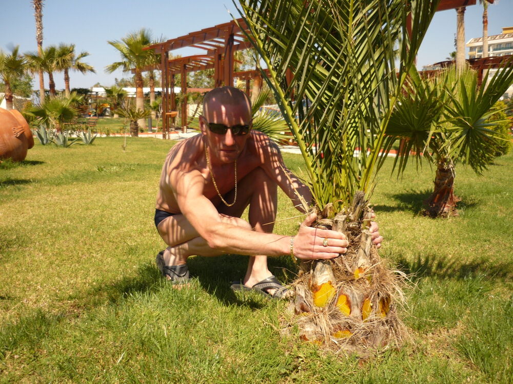 ���������� ������, ���� ������� ����, 38 ���, ������������ 