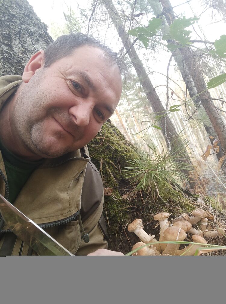  ,   , 50 ,   c 