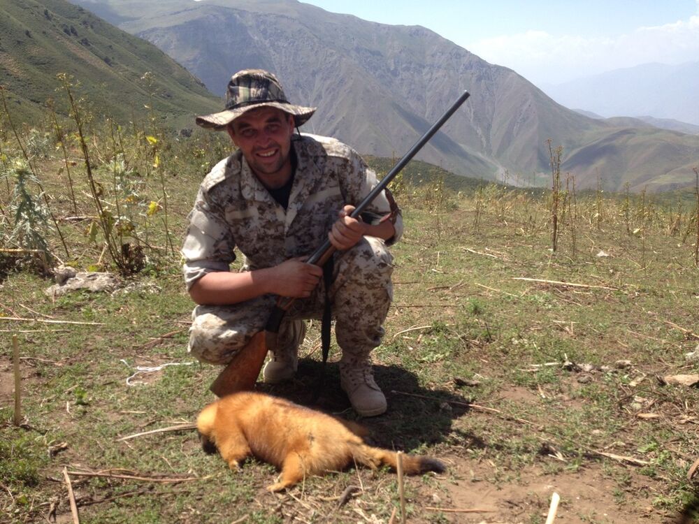 ���� 7897925 ������� ������, 40 ���, ���� ���������� � �������