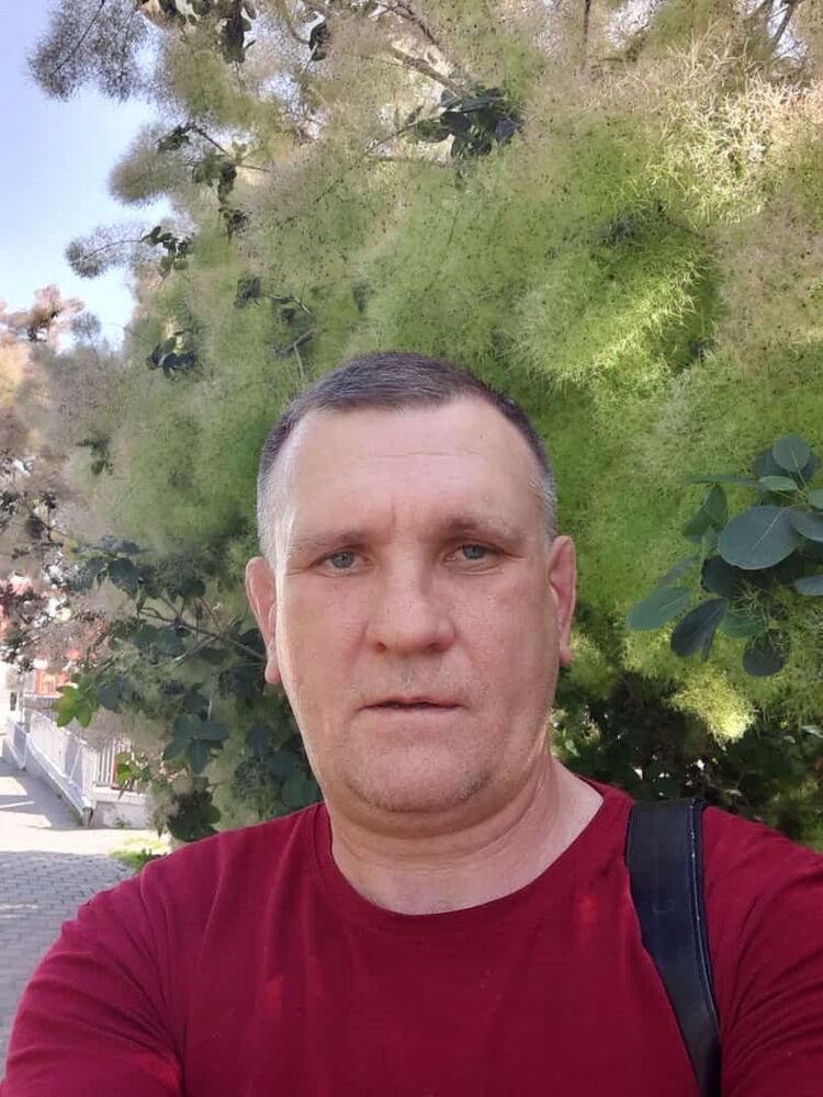  41666545  , 56 ,    