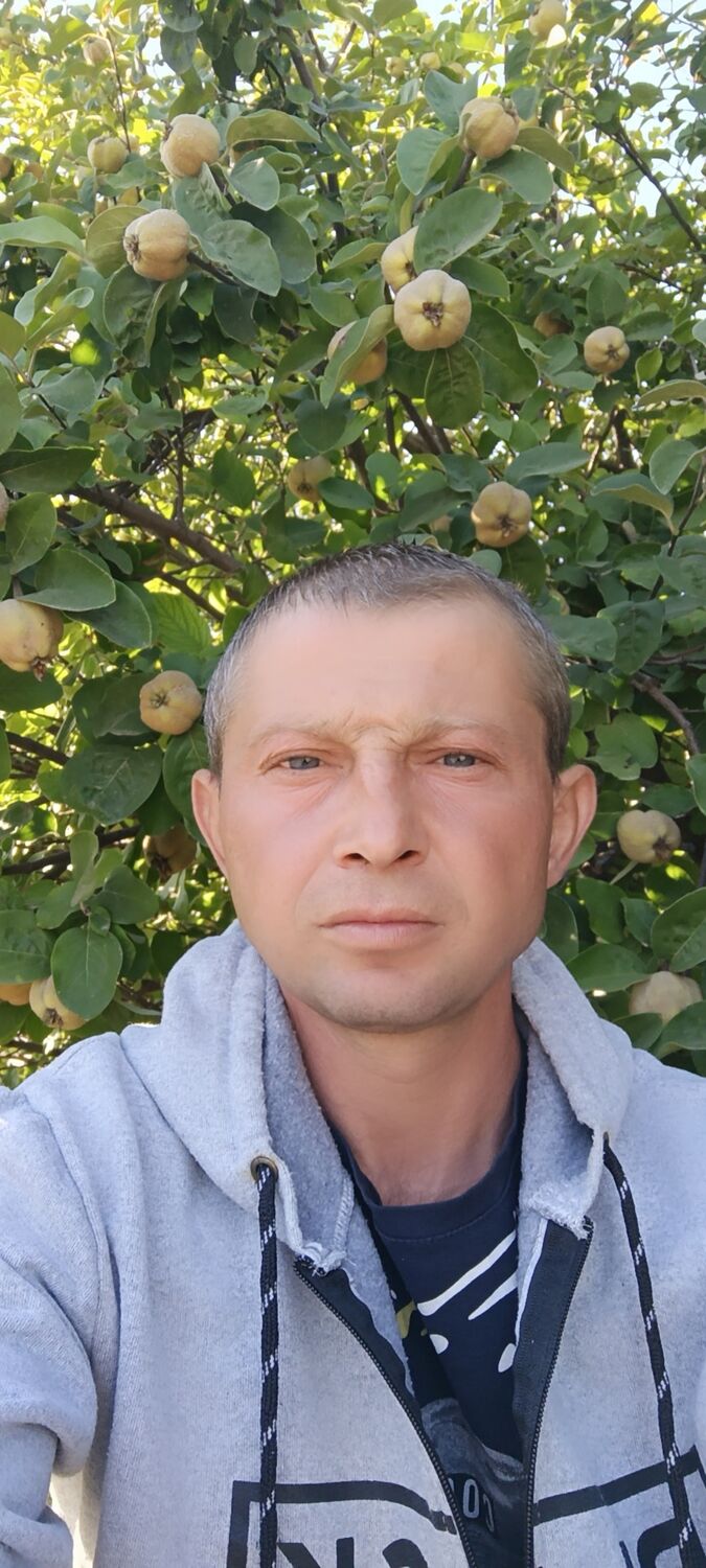  46564945  , 41 ,    