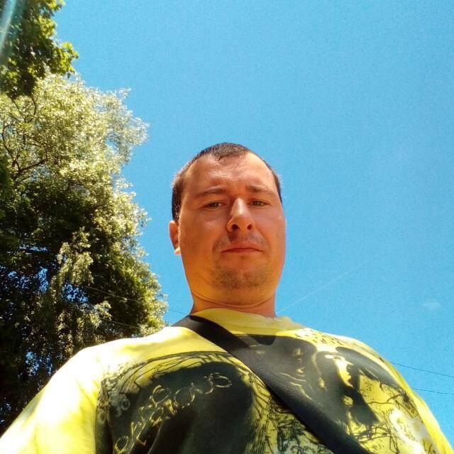 ���� 31162095 ������� ������, 36 ���, ���� ���������� � ���������