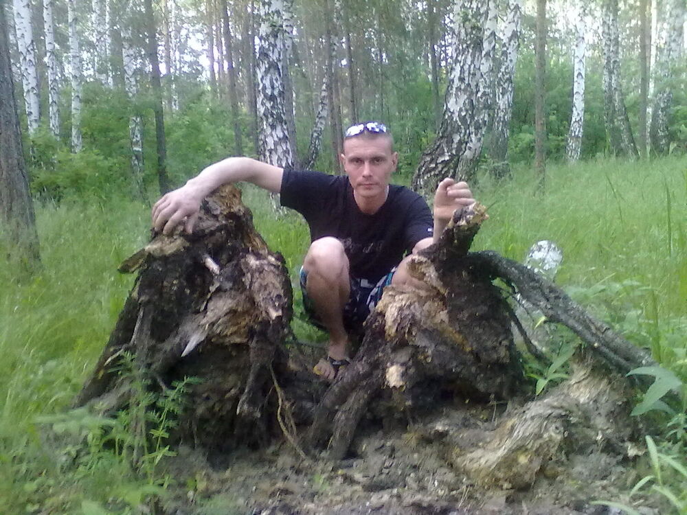 ���������� ���������, ���� ������� ���������, 43 ����, ������������ 