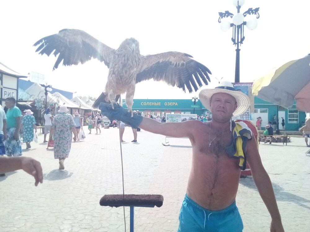 ���� 13185895 ������� �������, 38 ���, ���� ���������� � ������