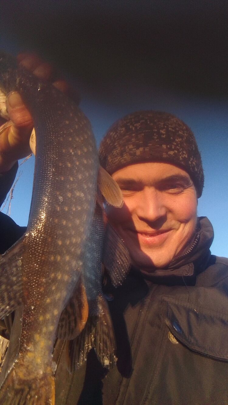 ���������� �����, ���� ������� �������, 29 ���, ������������ ��� ������, ����� � ���������