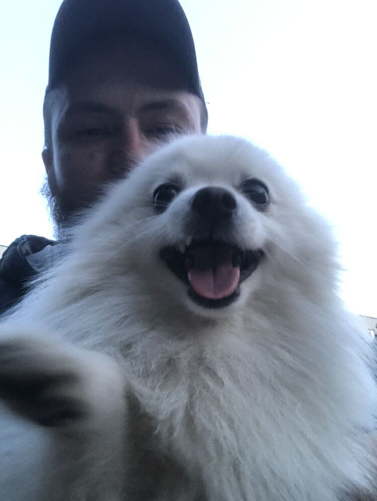 ���� 36845685 ������� �����, 29 ���, ���� ���������� � ������