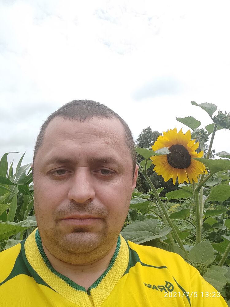  ,   , 41 ,   ,   
