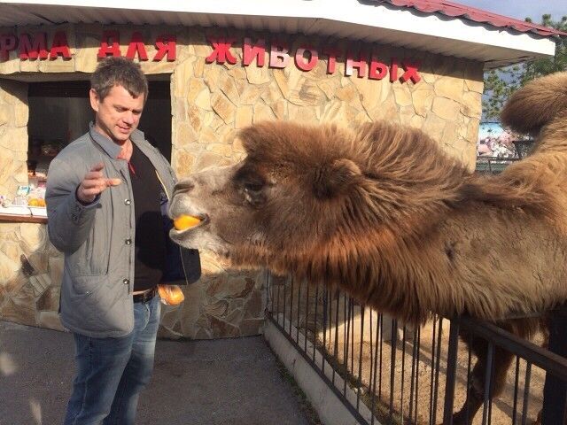 ���� 10809965 ������� ��������, 43 ����, ���� ���������� � ����������